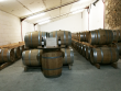 GIRONDE-Vignes-Blanches-20-hectares-dans-lEntre-Deux-Mers-proche-de-Bordeaux