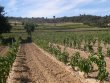 Domaine-Propriete-de-prestige