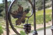 Domaine-Propriete-de-prestige