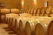 Vignoble-dException-de-30-ha-sur-la-Rive-Droite