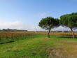 Secteur-LANGON--14-hectares-AOC-GRAVES-batiment-exploitation
