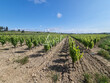 Propriete-viticole-de-17-Ha-en-Corbieres-avec-hangars