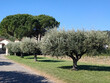 Domaine-viticole-cave-particuliere-et-outil-professionnel-complet
