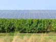 EXCLUSIVITE-Anjou--Domaine-viticole-reconversion-ou-investissement