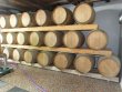 LOIRE-ATLANTIQUE--Grand-domaine-autonome