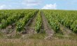 LOIRE-ATLANTIQUE--Grand-domaine-autonome