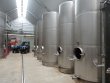 LOIR-ET-CHER--Domaine-de-15ha-Sauvignon-Blanc-en-bio