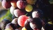ST-EMILION-Grand-Cru-Pepite-de-son-appellation