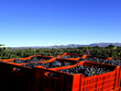 Opportunite-viticole-en-Terrasses-du-Larzac