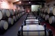 GIRONDE-Propriete-viticole-cultivee-en-Bio-et-Biodynamie-en-appellation-Cotes