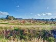 Domaine-viticole-dexception-dans-le-massif-des-Corbieres