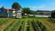 Sublime-propriete-viticole-de-321-ha-pres-de-Bordeaux-