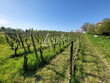 Vue-a-360-pour-cette-propriete-viticole--BLAYE