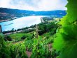 RARE-OPPORTUNITe-DEVENEZ-PROPRIeTAIRE-DUN-CRU-DE-LA-VALLeE-DU-RHoNE-SEPTENTRIONALE-SAINT-JOSEPH