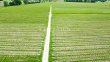 28-ha-vineyard-estate-in-excellent-condition-with-attractive-buildings