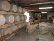 LOIRE-ATLANTIQUE--Vignoble-et-son-chateau