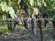 Tres-bel-outil-de-production