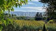 Beau-domaine-de-18-ha-avec-environ-14-ha-de-vignes-AOP-certifiees-BIO