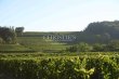8-hectare-vineyard-estate-in-the-Castillon-Cotes-de-Bordeaux-appellation--Organic-farming