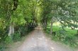 Chateau-de-caractere-a-renover--Vignoble--Dependances--Jolie-parc-