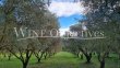 Charmant-domaine-viti-oleicole-Bio-de-10-ha-pres-de-St-Remy-de-Provence