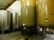 ANJOU-a-relancer-domaine-viticole-de-16-ha