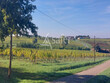 Propriete-viticole-sur-60-hectares-Entre-Deux-Mers