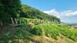 Domaine-de-8-ha-en-AOP-St-Joseph-et-Crozes-Hermitage-Une-valeur-sure-parmi-les-grands-
