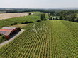 Domaine-viticole-Gaillac-35ha-vignes