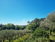 Domaine-de-charme-Gites-chambres-dhotes-et-oenotourisme