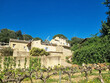 Domaine-de-charme-Gites-chambres-dhotes-et-oenotourisme